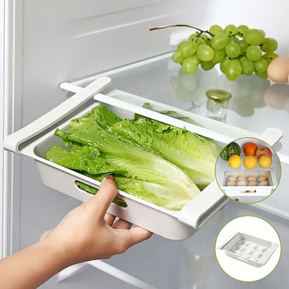 Lattice Egg Storage Organizer for Refrigerator Rack