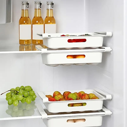 Lattice Egg Storage Organizer for Refrigerator Rack